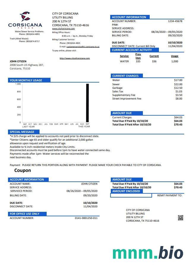 USA Texas City of Corsicana rachunek za media szablon w formacie Word i PDF
